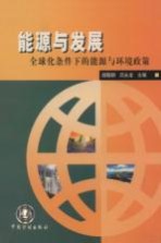 能源与发展  全球化条件下的能源与环境政策