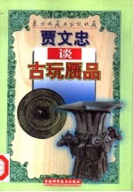 贾<em>文忠</em>谈古玩赝品