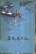 盐民游击队