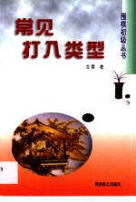 常见打入类型
