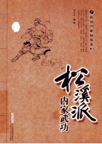 松溪派<em>内家</em>武功  经典珍藏版