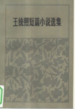 <em>王统</em>照短篇小说选集