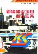 新编建设项目审计实务