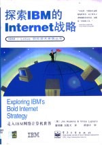 探索IBM<em>的</em><em>Internet</em>战略