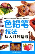 色铅笔技法<em>从</em><em>入门</em><em>到</em><em>精通</em>