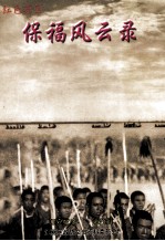 红色苏区  <em>保福</em>风云录
