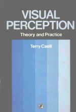 VISUAL PERCEPTION <em>THEORY</em> <em>AND</em> <em>PRACTICE</em>