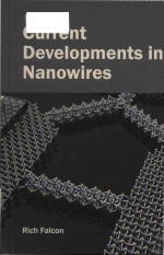 Current <em>developments</em> in nanowires