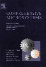 COMPREHENSIVE MICROSYSTEMS <em>Volume</em> <em>2</em>