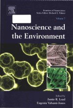 Nanoscience and the envi<em>ro</em>nment