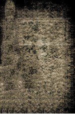 <em>Manual</em> <em>of</em> Histologic and Special Staining Technics