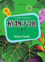 学飞小博士百问百答丛书  植物天地  下