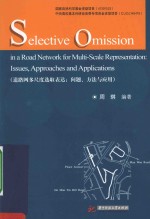 SELECTIVE OMISSION IN <em>A</em> RO<em>A</em>D NETWORK FOR MULTI-SC<em>A</em>LE REPRESENT<em>A</em>TION:ISSUES