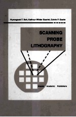 SCANNING <em>PROBE</em> LITHOGRAPHY