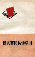 <em>向</em>大寨民兵连学习