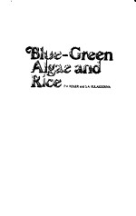 BLUE-<em>GREEN</em> ALGAE AND RICE