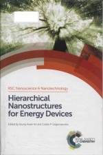 Hierarchical <em>na</em><em>no</em>structures for e<em>ne</em>rgy devices
