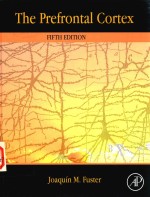 <em>THE</em> PREFRONTAI CORTEX FIFTH <em>EDITION</em>