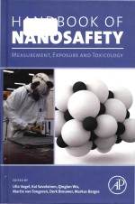 <em>Handbook</em> of nanosafety <em>measurement</em>