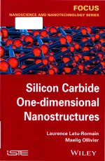 Silicon ca<em>rb</em>i<em>de</em> one-<em>di</em>mensional nanost<em>ru</em>ctu<em>re</em>s