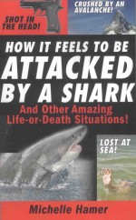 HOW <em>IT</em> FEELS TO BE ATTACKED BY A SHARK