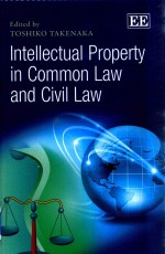 <em>In</em>tellectu<em>a</em>l Property <em>in</em> Common <em>L<em>a</em>w</em> <em>a</em>nd Civil <em>L<em>a</em>w</em>