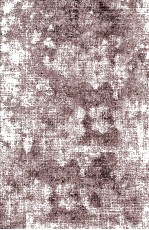 <em>An</em> <em>Introduction</em> to The Modern Theory of <em>Equations</em>