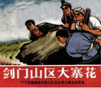 剑门山区大寨花：四川省剑阁县化林大队“农业<em>学</em>大寨”先进事迹