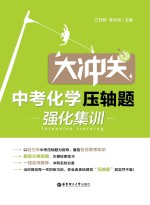 大冲关  中考化学压轴题·强化集训