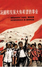 巩固和发展大有希望的事业  湖南省株洲市厂社挂钩、集体安置知识青年到社队农、林、茶场的经验