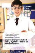 Organic-inorganic hybrid epoxy layered <em>silicate</em>/CNT nanocomposites