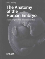 <em>THE</em> <em>ANATOMY</em> <em>OF</em> <em>THE</em> <em>HUMAN</em> EMBRYO A SCANNING ELECTRON MICROSCOPIC ATLAS