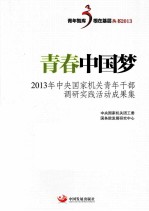 青春中国梦  2013年中央国家机关青年干部调研实践活动成果集