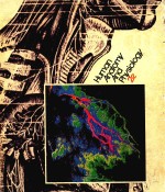 <em>HUMAN</em> <em>ANATOMY</em> AND <em>PHYSIOLOGY</em> SECOND <em>EDITION</em>