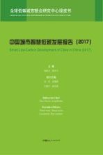 中国城市智慧低碳发展报告  2017版