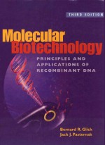 MOLECULAR BIOTECHNOLOGY <em>PRINCIPLES</em> AND APPLICATIONS OF RECOMBINANT DNA
