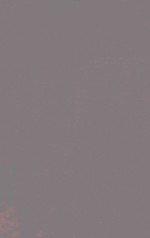 INDUSTRIAL LUN<em>G</em> DISEASES OF IRON AND STEEL FOUNDRY WORKERS