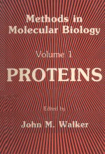 <em>METHODS</em> IN MOLECULAR BIOLOGY VOLUME 1 PROTEINS