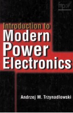 Introduction To Modern Power <em>ELectronics</em>