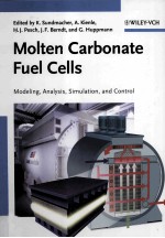 Molten Carbonate Fuel Cells <em>Modeling</em>
