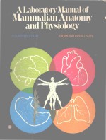 A <em>LABORATORY</em> <em><em>MAN</em>UAL</em> <em>OF</em> MAMMALIAN ANATOMY AND PHYSIOLOGY <em>FOURTH</em> <em>EDITION</em>