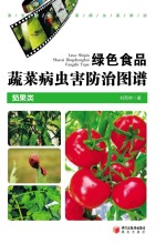 绿色食品蔬菜病虫害<em>防治</em>图谱  茄果类