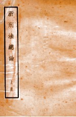 新<em>刑法</em>总论  上