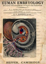 <em>HUMAN</em> EMBRYOLOGY PRENATAL <em>DEVELOPMENT</em> OF FORM AND FUNCTION