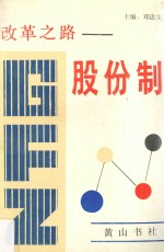 改革之路  股份制