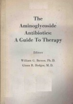 <em>THE</em> <em>A</em>MINOGLYCOSIDE <em>A</em>NTIBIOTICS <em>A</em> <em>GUIDE</em> <em>TO</em> <em>THE</em>R<em>A</em>PY