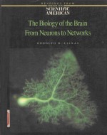 <em>THE</em> BIOLOGY OF <em>THE</em> BRAIN FROM NEURON<em>S</em> TO NETWORK<em>S</em>