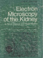 ELECTRON MICROSCOPY OF THE <em>KI</em>DNEY