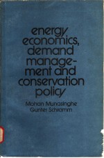 ENERGY ECONOMICS， DEM<em>AND</em> MANAGE-MENT <em>AND</em> CONSERVATION POLICY MO<em>H</em>AN MUNASING<em>H</em>E GUNTER SC<em>H</em>RAMM