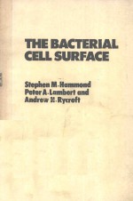 THE BA<em>C</em>TERIAL <em>C</em>ELL SURFA<em>C</em>E